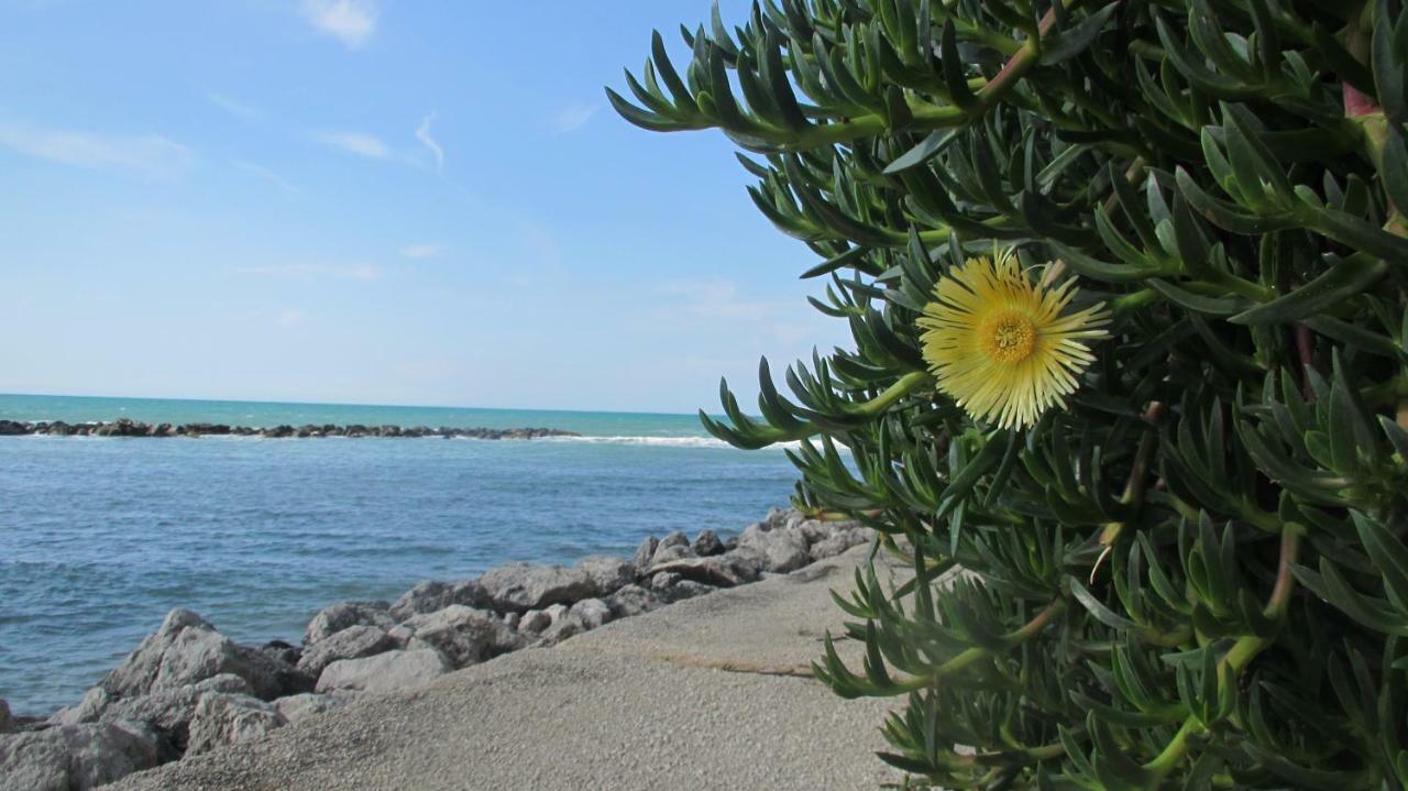 Sapori Di Mare Apartment Trappeto  Bagian luar foto